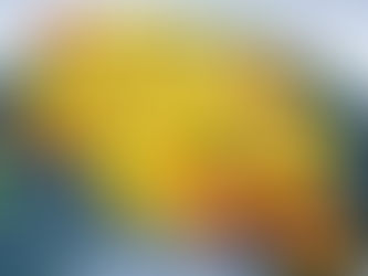 Discover the Ultimate Tofu Scramble Recipe for a Delicious Vegan Breakfast