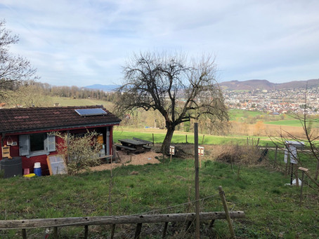 Bienenlehrpfad aus dem Winterschlaf erwacht