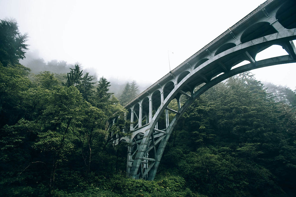 josh-hild-vpqMZNs8L50-unsplash-web.jpg