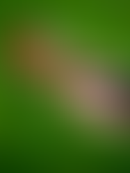 The Healing Power of Music