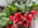 Red Radish