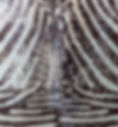 035-PLEASECREDITWHEREPOSSIBLE-eddie-judd-photography-heron-court-upstairs-WEBfiles_edited.