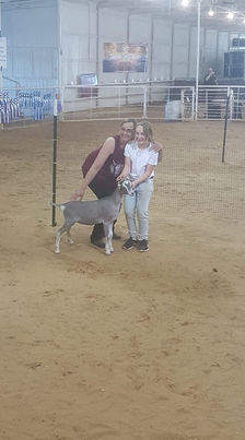 ADGA and AGA champion goats for sale sell