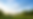 LA Day.png