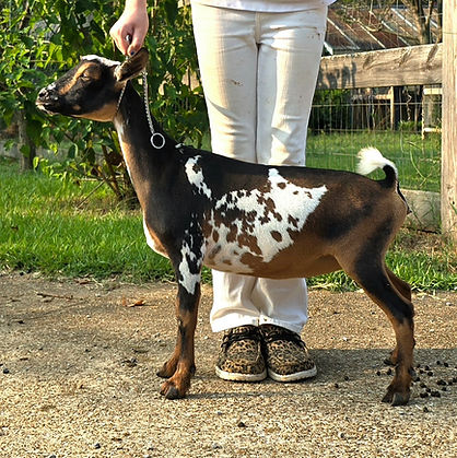 SHORT ON HEAVEN GLOW UP