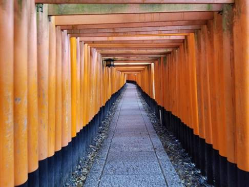 This is among the most popular destinations in all of Japan, famous for its thousands of Torii gates; but it was incredibly empty. I was able to take this photo with nobody in the shot during the middle of the day.