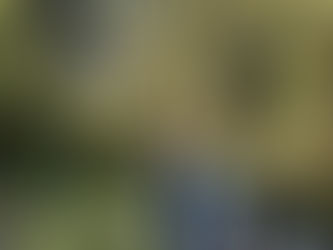 Landon Goetz Highlight