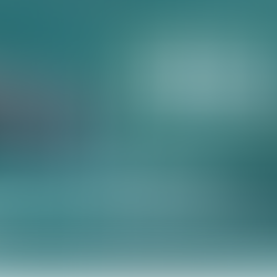 2020 SMALL BUSINESS OF THE YEAR