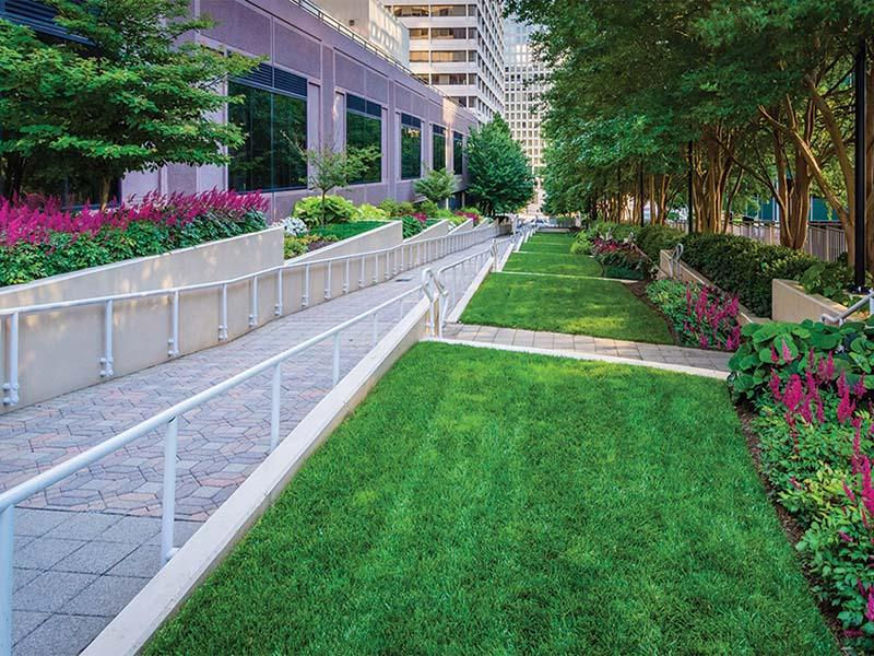 skis landscaping commercial landscaping.jpg
