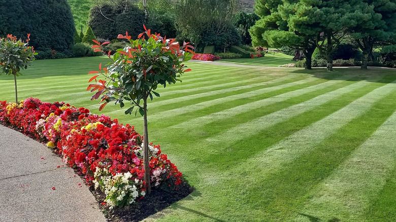 Skis landscaping lawn care.jpg
