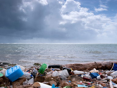 Basura a la orilla de un cuerpo de agua