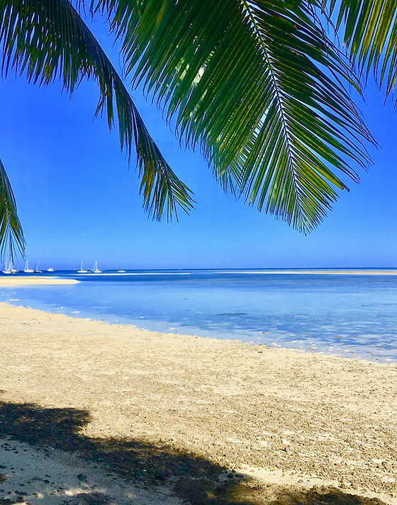 View of beach from patio