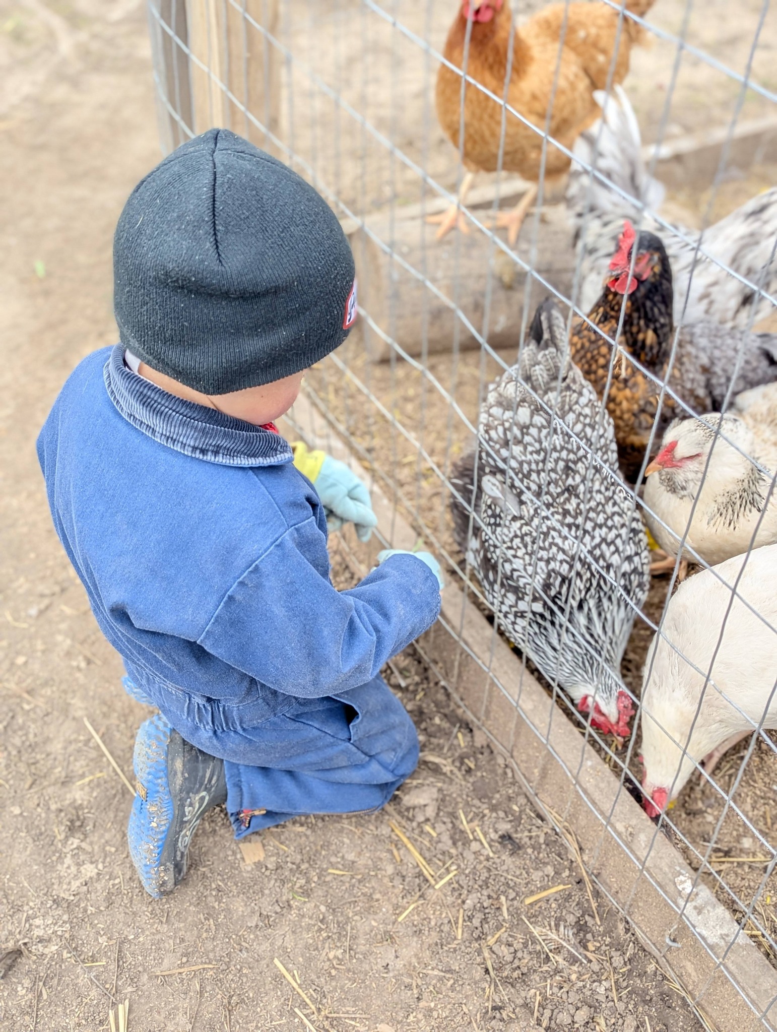 LC's Farm School