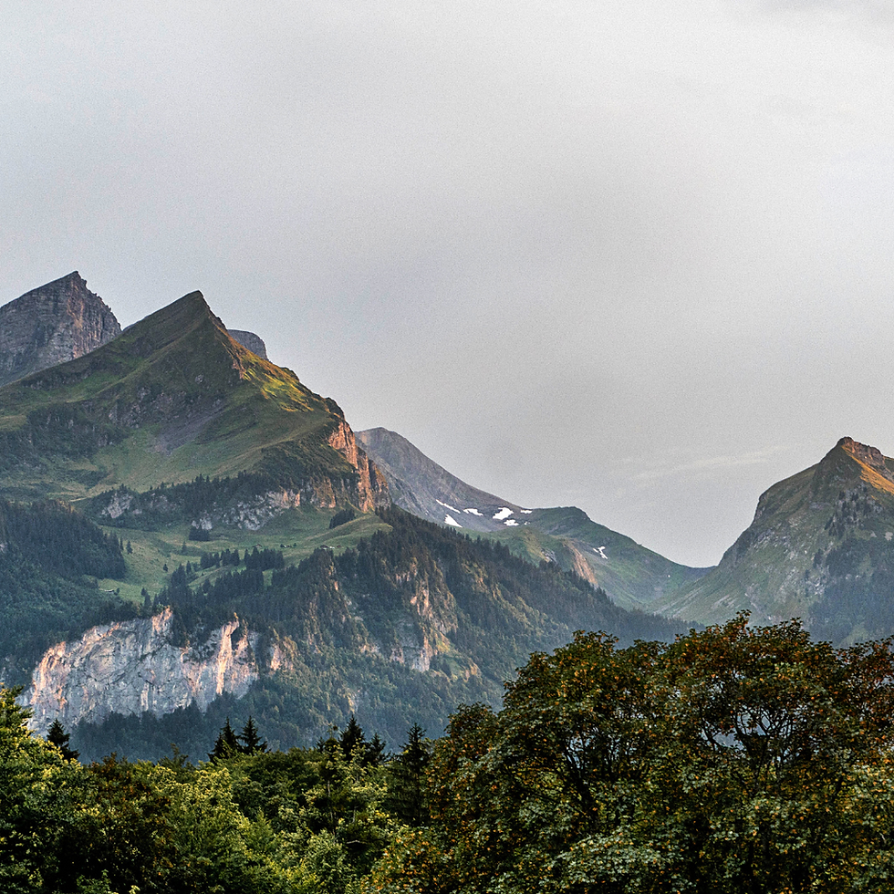 Untitled design (46).png