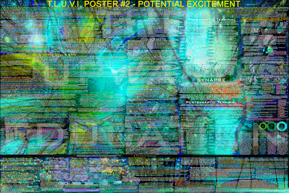 TLUVI 2-1 - BLUE.png