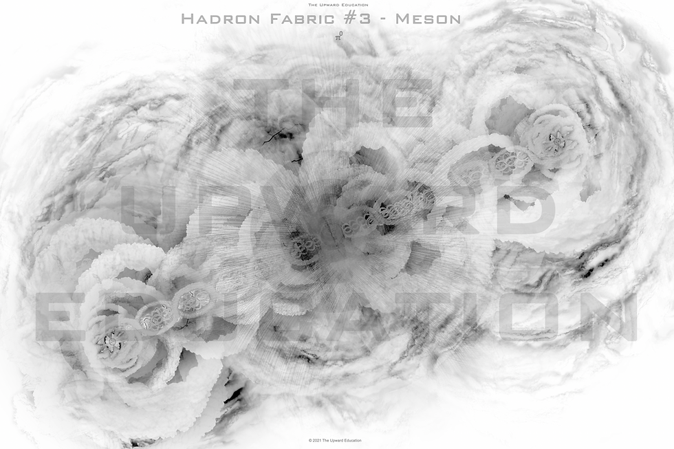 VOEA 3 - Meson - Black & White 03 - 24 x 36" - Photo paper poster