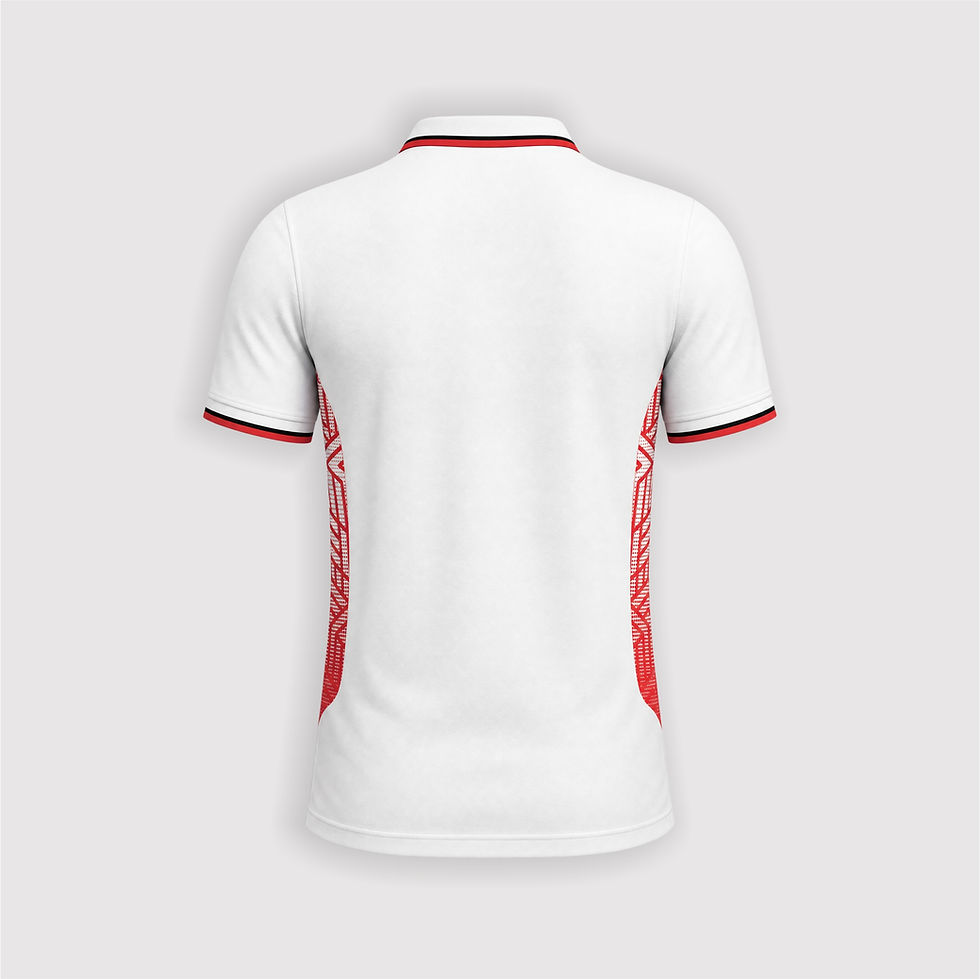Miniatura: PLAYERA TIPO POLO EST. W2502 BR