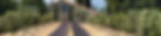 Provence_8_edited.jpg