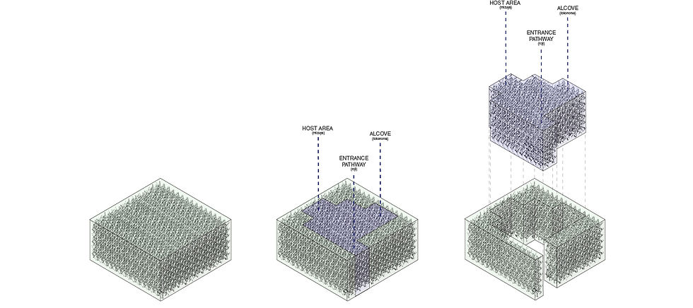 CREATING THE VOID IN THE VOLUME