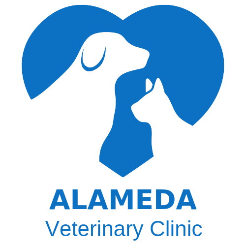 HOME Alameda Vet