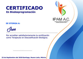 Certificado Juan Pamanes_1_edited.jpg