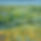 Summer Fields.jpg
