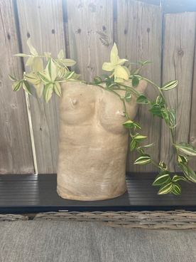 naked planter