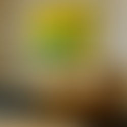 Defining an Eclectic Style