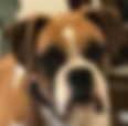 reba (2).PNG