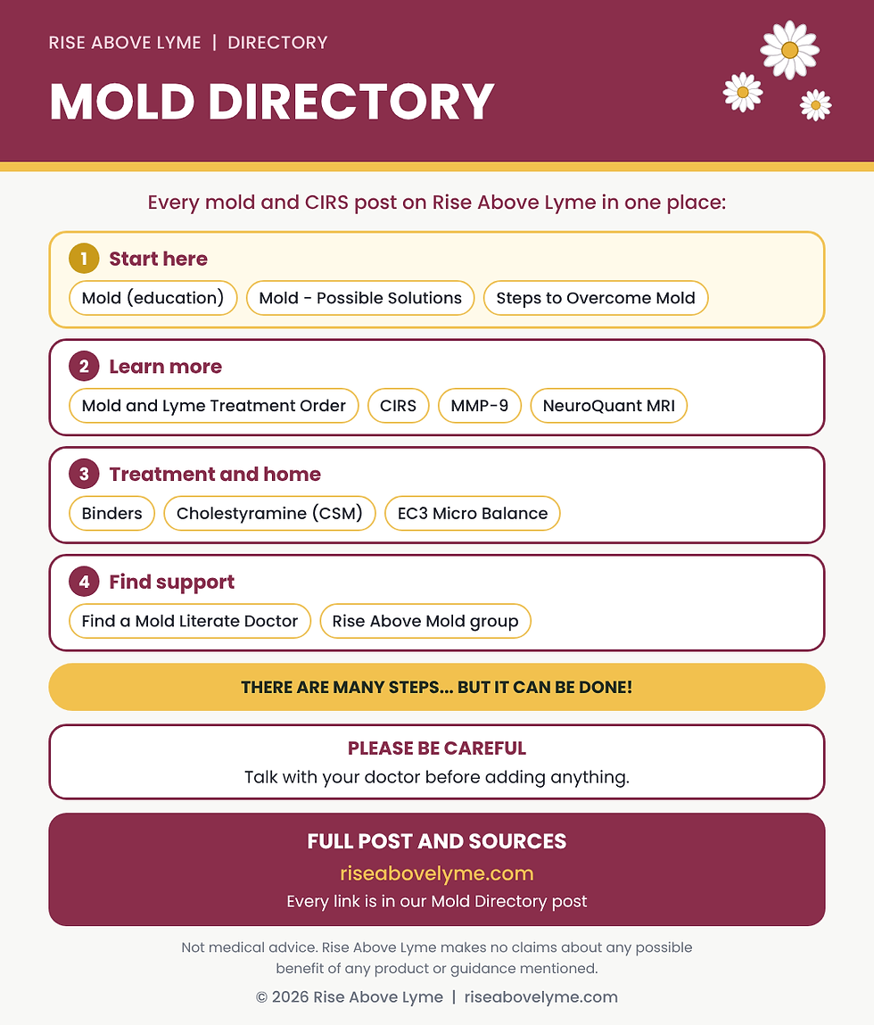 MOLD DIRECTORY