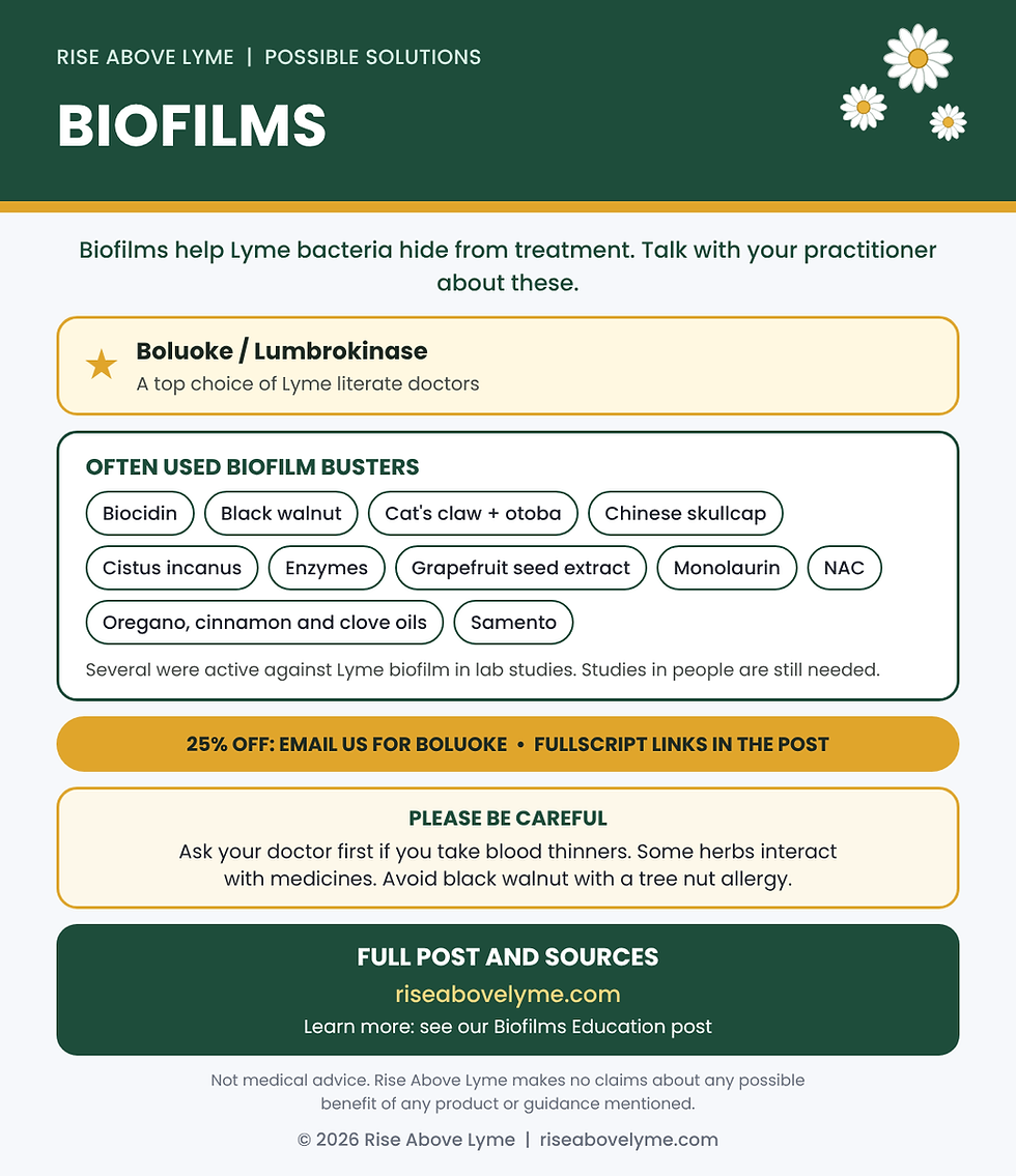 BIOFILMS - POSSIBLE SOLUTIONS