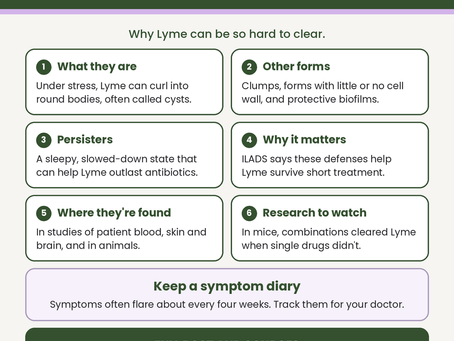 CYST FORMS OF LYME