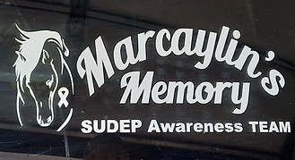 Marcaylin's Memory Cut Vinyl on Back of SUV