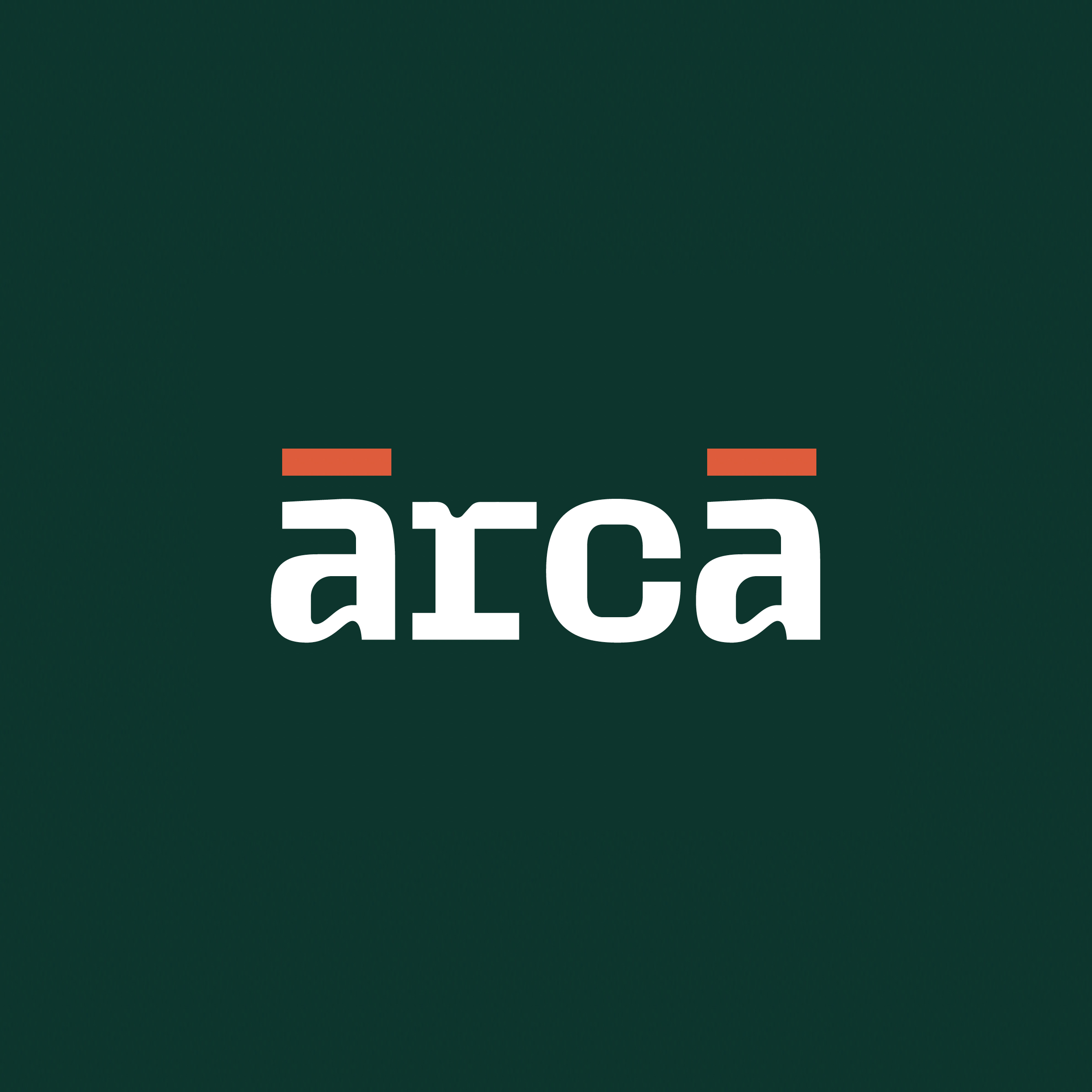 Foto del escritor: Arca Film Lab