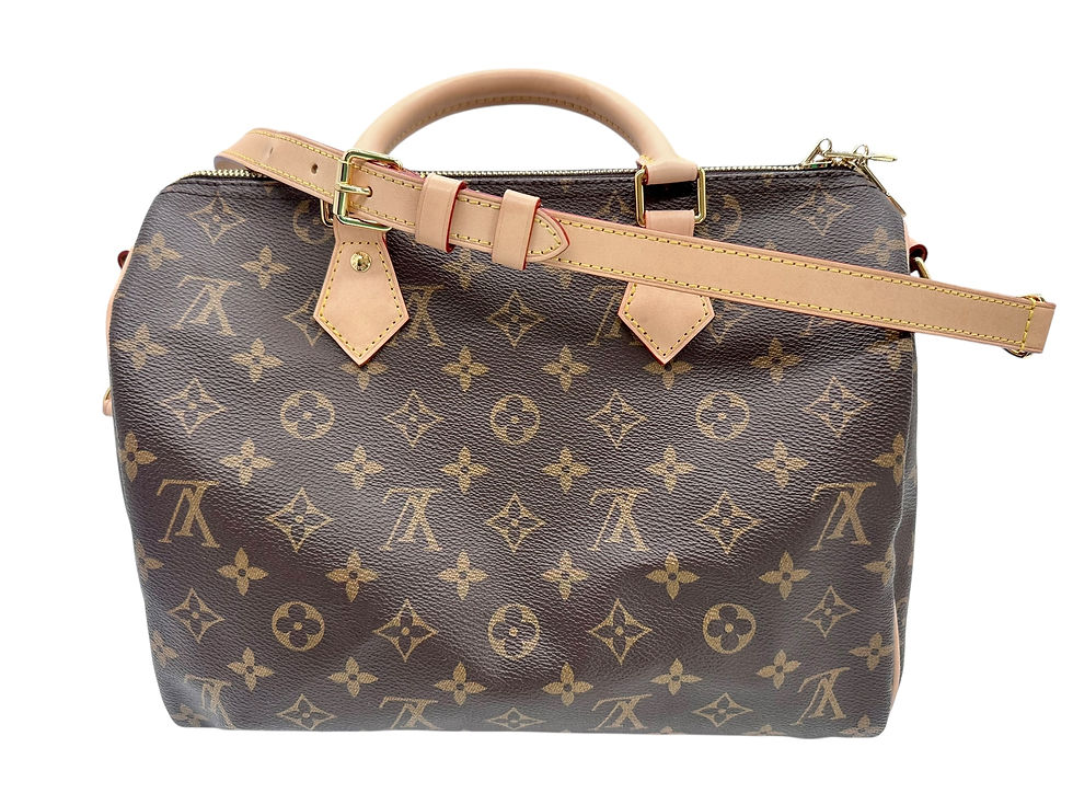 Louis Vuitton Speedy 30 Tasche