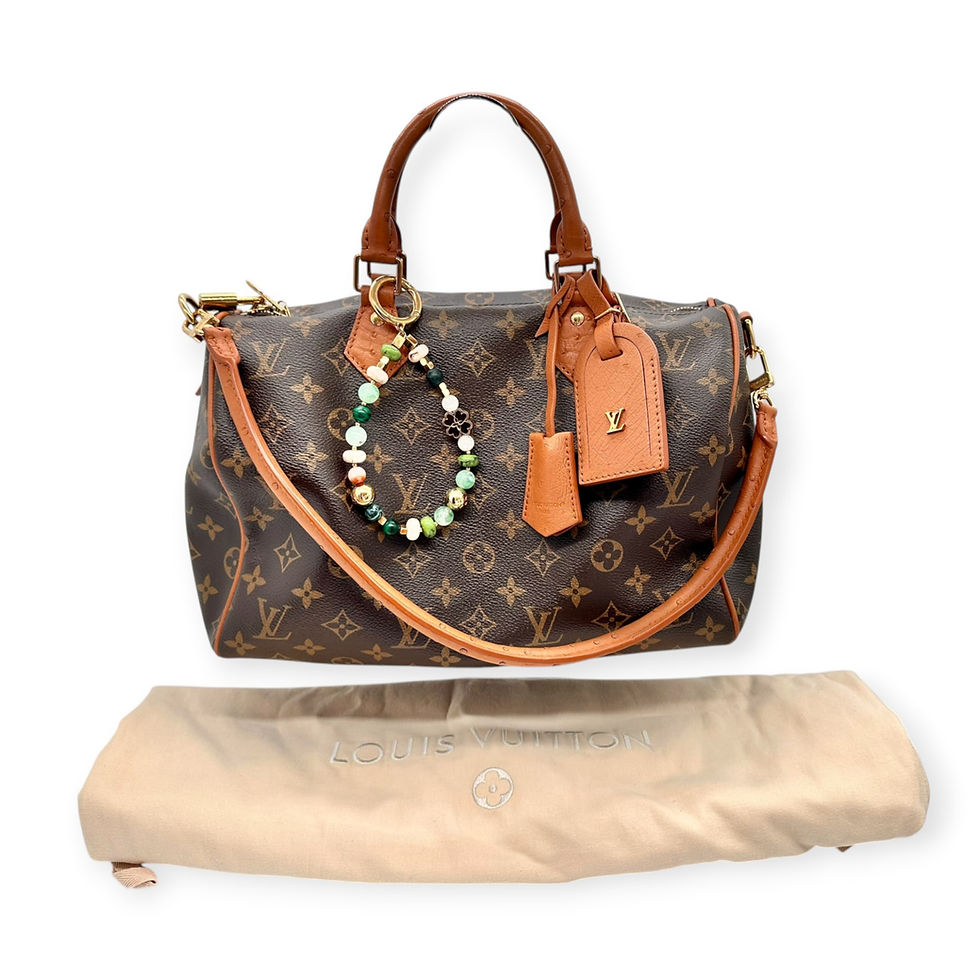 Louis Vuitton Speedy Soft