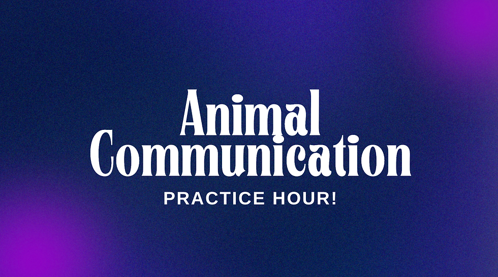 Animal Communication Practice