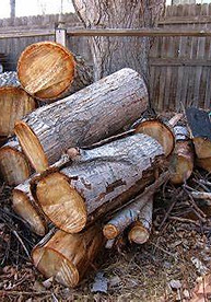 DM Carts - pile of wood in a residential yard