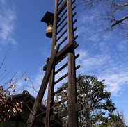 M.KANEKO 294.JPG