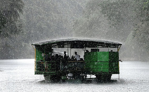 カラーフェア金子.jpg