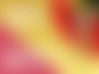 明けましておめでとうございます