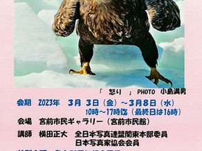 第42回多摩支部写真展開催中!