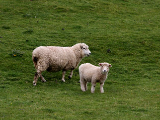 IRLANDA Y ESCOCIA