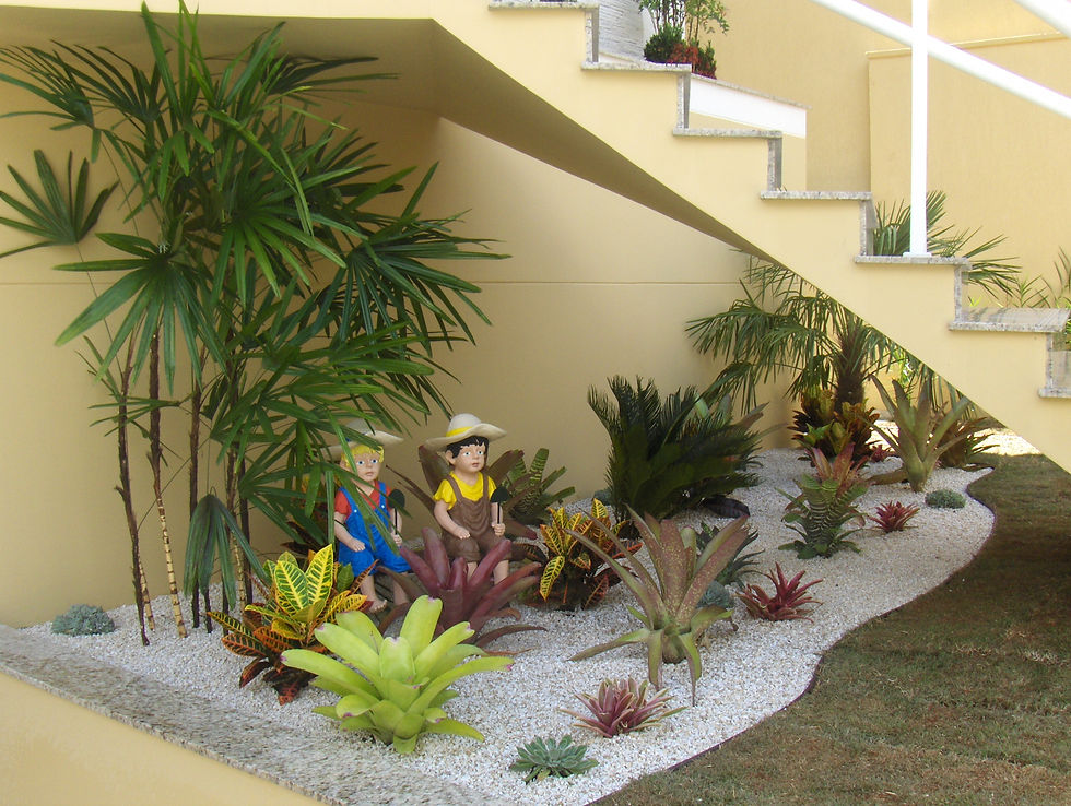 plantas decorativas para jardim 4.jpg