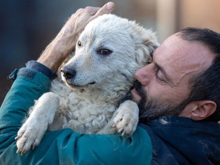 When Communication Meets Purpose