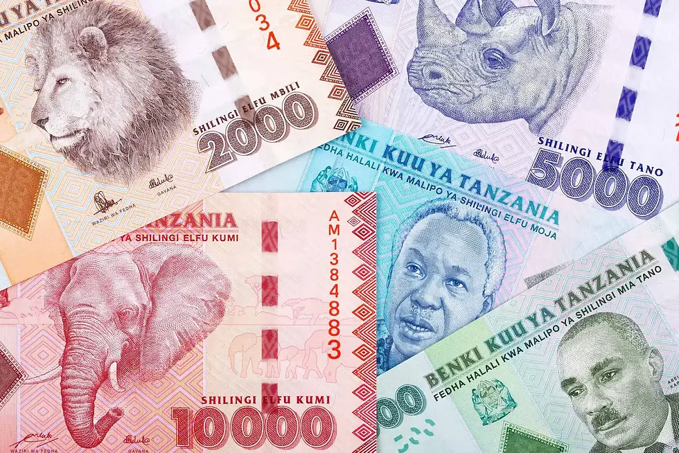 Close-up view of Tanzanian shilling banknotes and coins on a desk