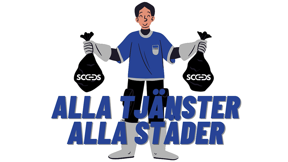 Professionell städning i Sverige – alla tjänster, alla städer