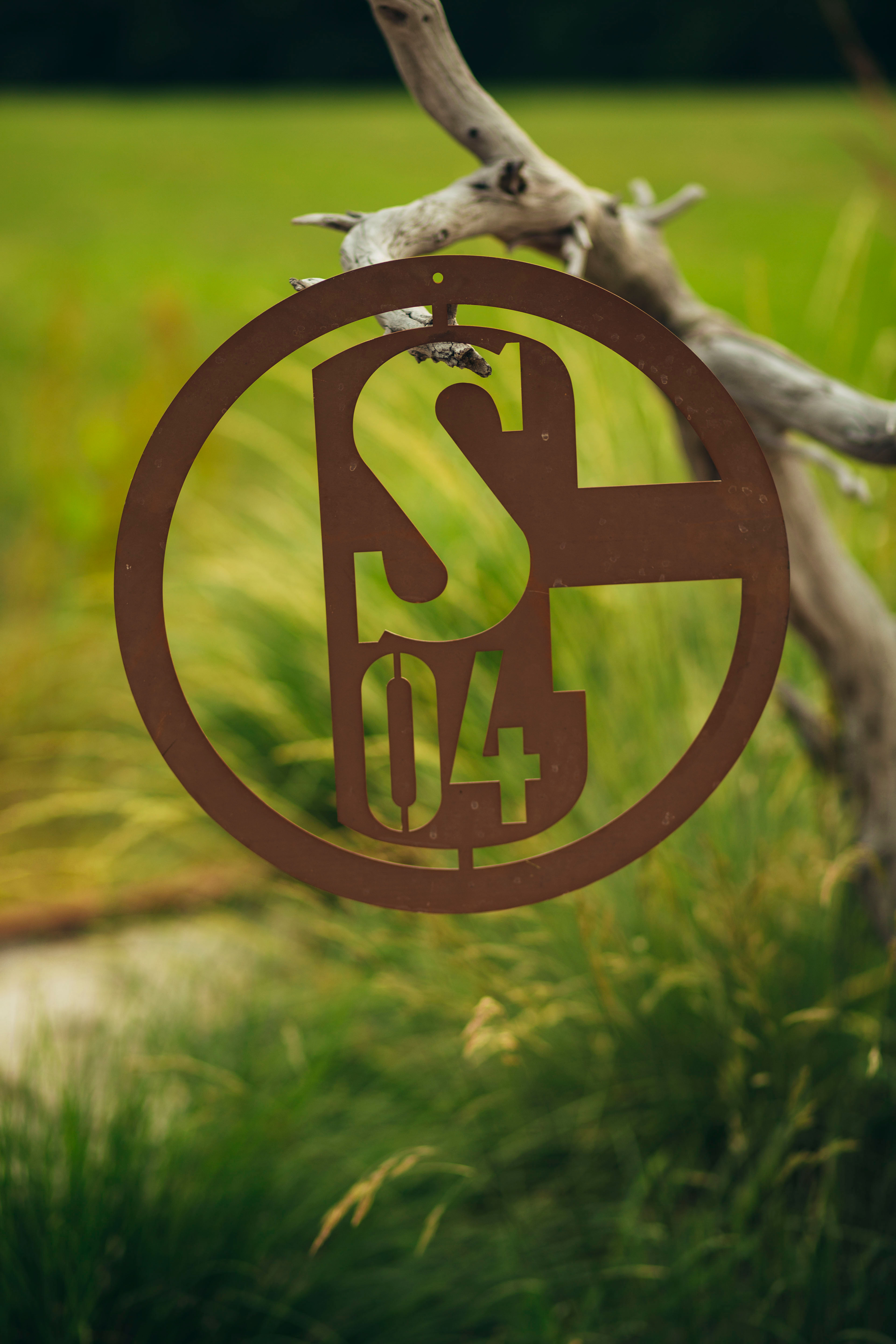 Schalke 04 Logo zum Hängen