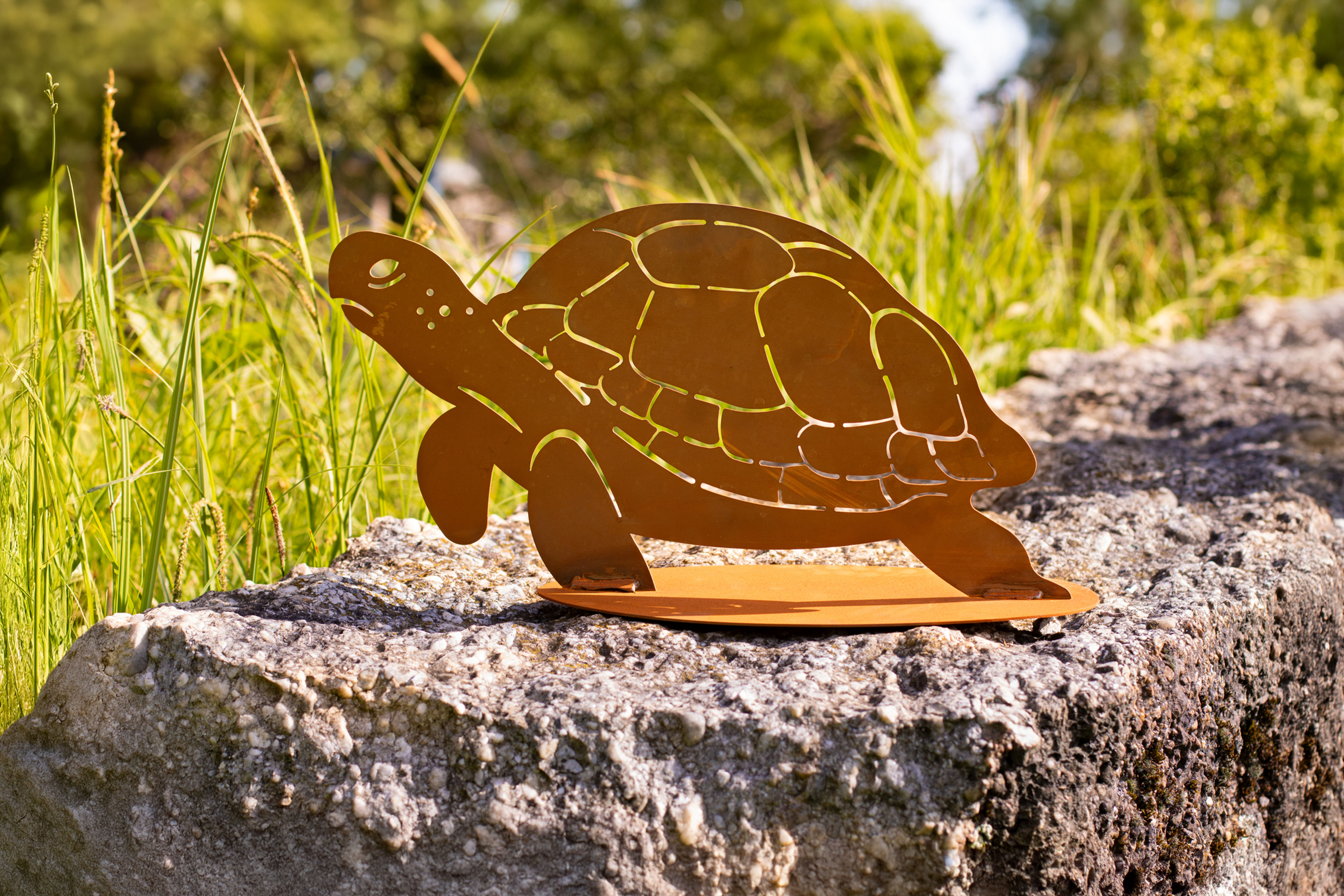 Schildkröte - Van Panza, Gr. I,  Gr. II & Gr. III