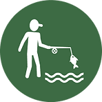 Fishing icon